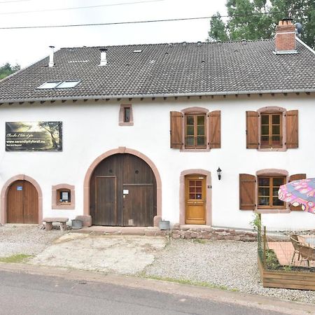 Serendipity For All Apartments Saint-Die-des-Vosges Dış mekan fotoğraf