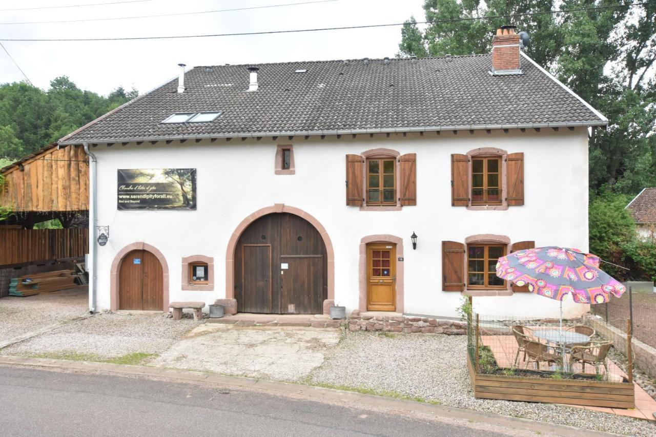 Serendipity For All Apartments Saint-Die-des-Vosges Dış mekan fotoğraf